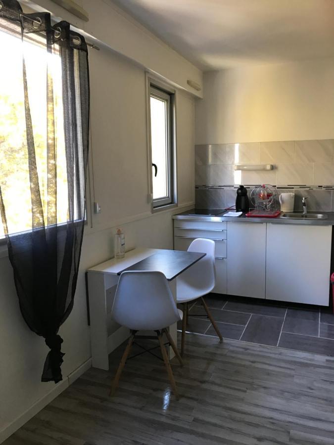 Studio Richelieu 1 Et Son Parking Prive Leilighet Villeurbanne Eksteriør bilde
